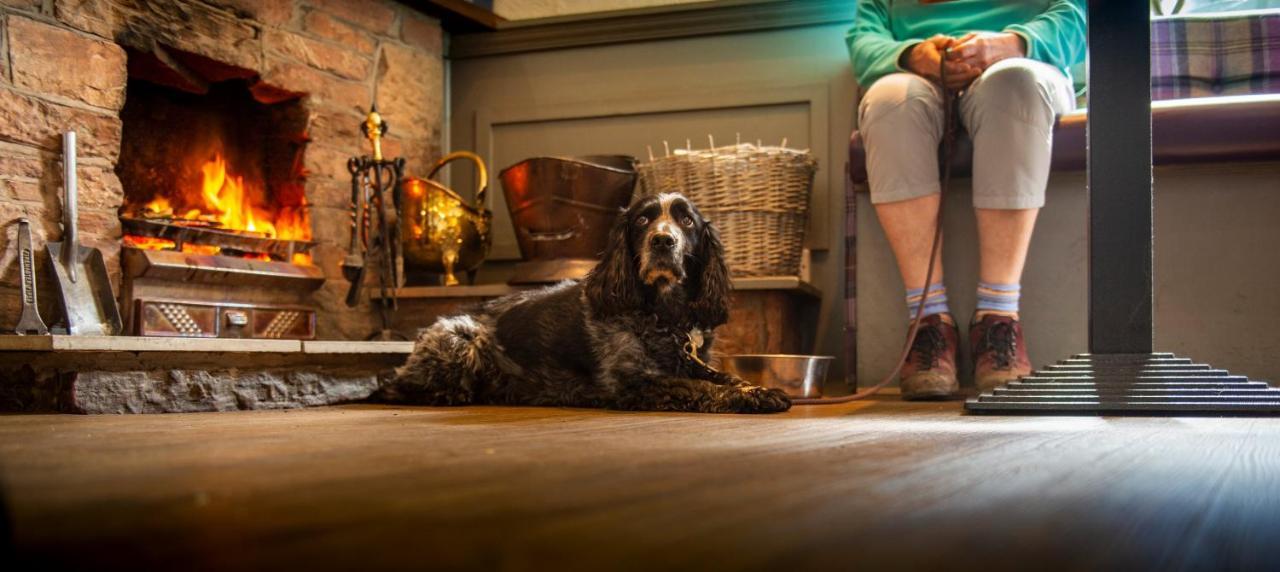 Dryburgh Arms Pub With Rooms 멜로스 외부 사진